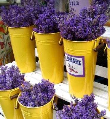 Cosy Home: Profumo di lavanda