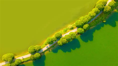 Green Landscape Aerial View Wallpapers | HD Wallpapers