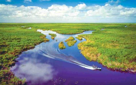 What do you need to know before visiting Everglades National Park? - AZ ...