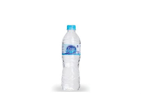 Água Mineral Passa Quatro sem Gás 510ml – Planeta Bebidas