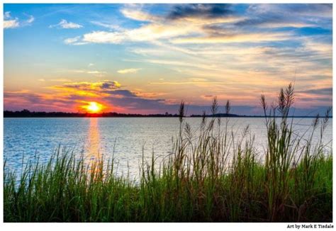 Savannah River Sunrise- Coastal Landscape Art Print