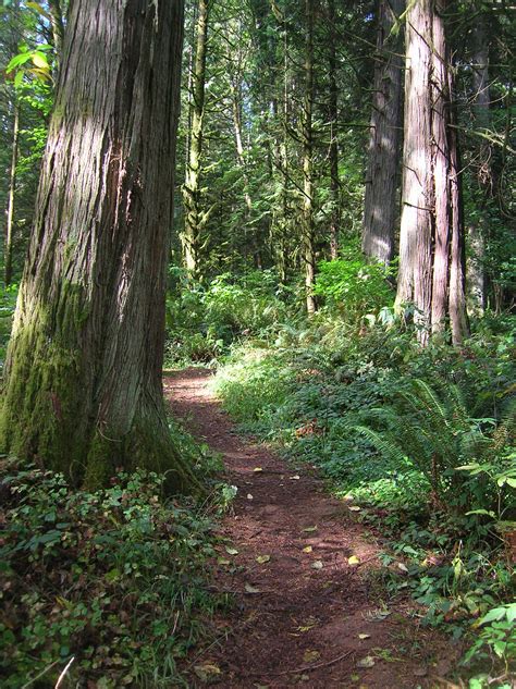 Lewis and Clark State Park─Discover beautiful Old Growth Forest along the old highway ninety ...