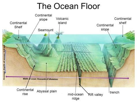 Ocean Floor Features Diagram | Quizlet