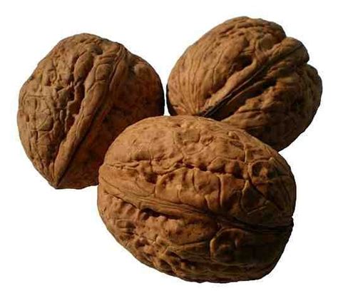 Walnut Oil Recipes: How to Cook With Walnut Oil - Oilypedia.com