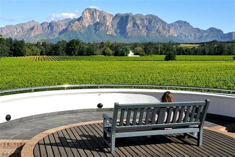 Cape Town Wine Tour 2023