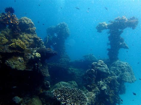 Apo Reef Marine Park - Dugong Dive Center