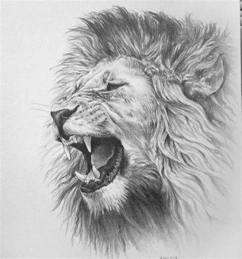 Best 25+ Roaring lion drawing ideas on Pinterest | Roaring lion tattoo, Lion drawing and Lion ...