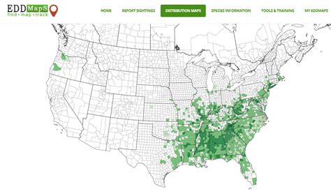 Weekly "What is it?": Kudzu - UF/IFAS Extension Escambia County