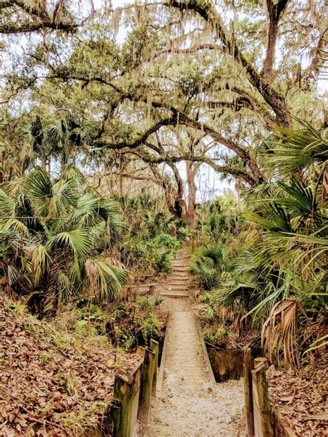 Enchanted Forest Sanctuary, Titusville, Florida, USA ... : r/hiking