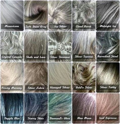 28 best images about Hair Color on Pinterest | Silver hair, Charts and ...