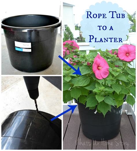 The Cheapest Way to DIY Large Plant Pots! | Whats Ur Home Story