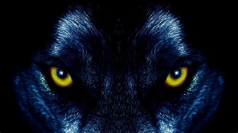 Wolf Eye Desktop Wallpapers Wallpaper Cave - vrogue.co