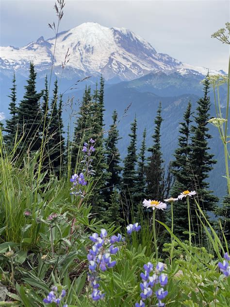 Northway Trail, Crystal Mountain, WA : r/hiking