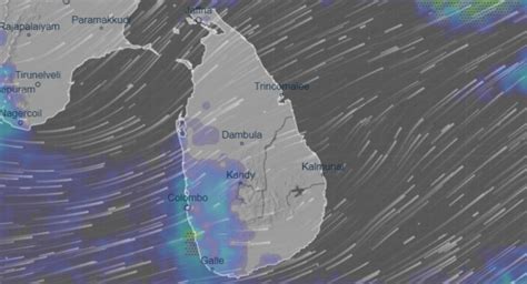 Nuwara Eliya records highest rainfall in the past 24 hours