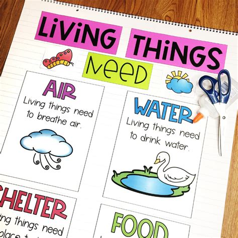 4 New Activities for Your Living and Nonliving Things Unit — Chalkboard ...