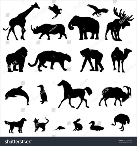 20 Animal Black Silhouette Vector Illustrations Stock Vector (Royalty ...