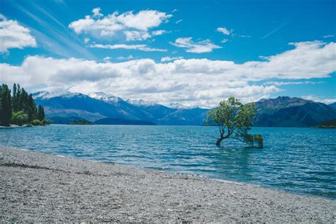 8 Fantastic Things to Do in Wanaka, New Zealand for Solo Travelers