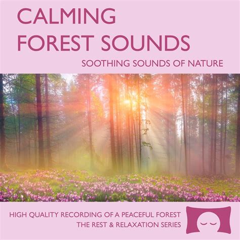 Calming Forest Sounds - Nature Sounds Recording - For Meditation ...