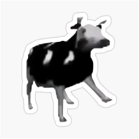 "Polish Dancing Cow Meme" Sticker by Beepymallow | Redbubble