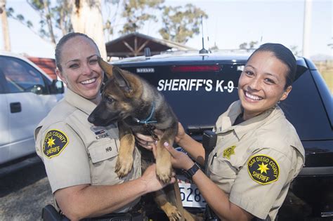 Women in Law Enforcement | San Diego County Sheriff