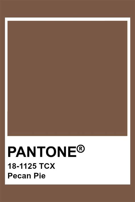 PANTONE 18-1125 TCX Pecan Pie | Kleurenpalet, Interieur kleuren, Kleuren