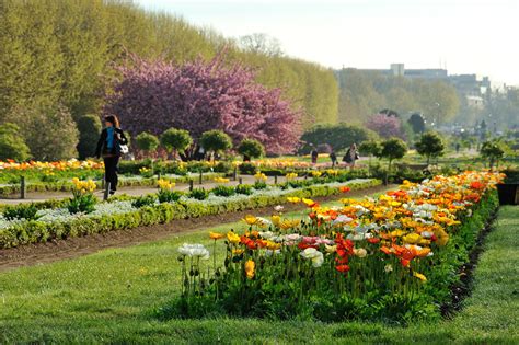 Jardin des Plantes | Attractions in 5e arrondissement, Paris