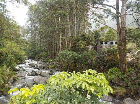 CLOUD FOREST HIKING WATERFALLS TOUR – Boquete Outdoor Adventures Store