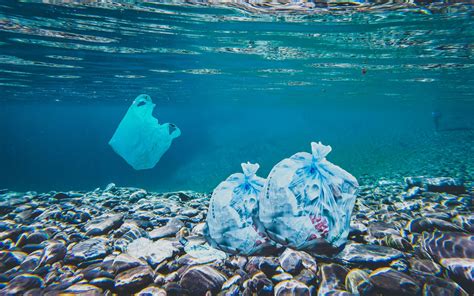 Plastic wastes on ocean floor - PixaHive