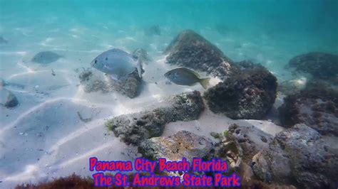 Snorkeling Panama City Beach Florida The St. Andrews Jetties GoPro ...