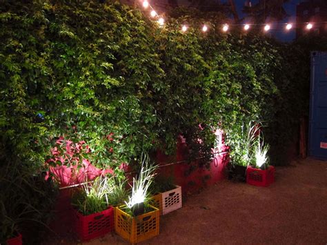 Planter and lights