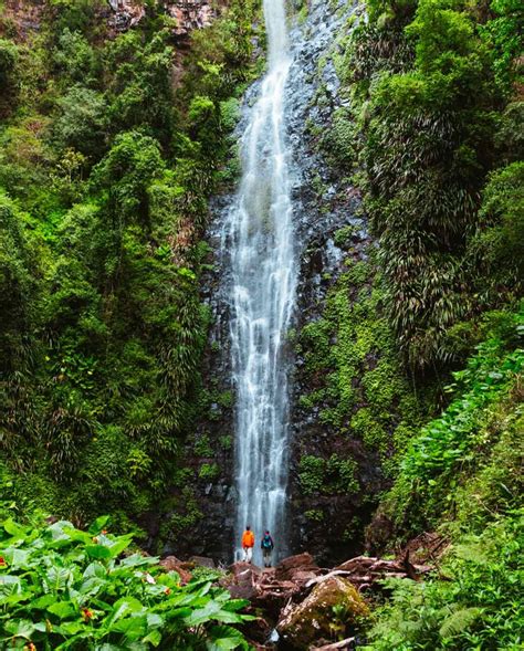 Visit Gold Coast Hinterland, Gold Coast - Visitor's Guide | Queensland