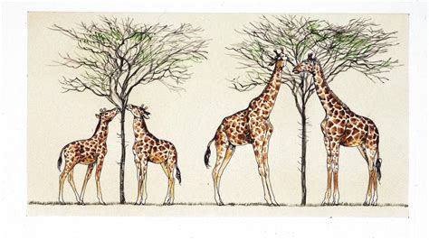 How Did Lamarck Explain Why Giraffes Have Long Necks? | Reference.com