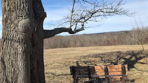 Hike at Glocester, RI, preserve that immigrant war hero made possible