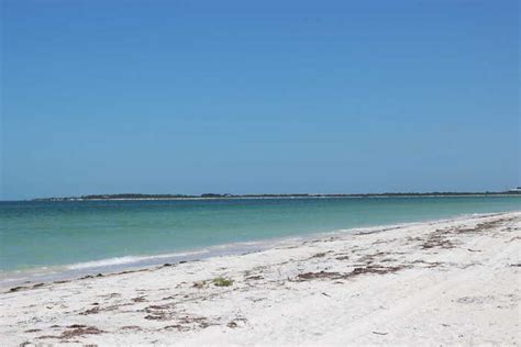 Why You Should Visit Caladesi Island State Park & What You Need To Know ...