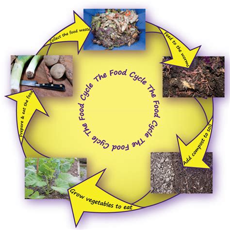 The Food Cycle – Worms Work