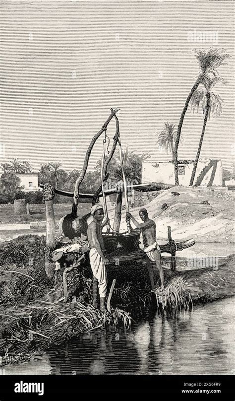 Old Shaduf for irrigation on the Nile River, Egypt. Old 19th century engraved illustration from ...