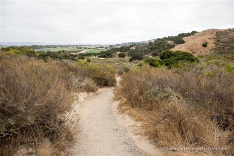 Fort Ord National Monument: Hiking from the Creekside Terrace Trailhead | California Through My Lens