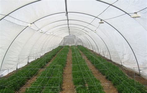 Greenhouse Insect Protection Netting / Insect Proof Mesh For Attention