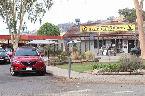 M stop: Dog on the Tuckerbox - Gundagai