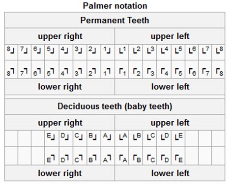 Tooth Numbering System - FDI, ISO, Palmer, ADA Dental Numbering Systems