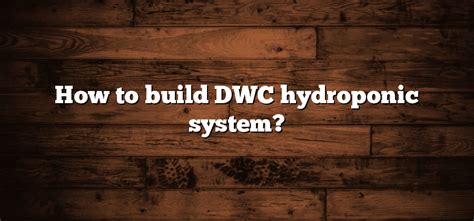 How to build DWC hydroponic system? - Inter Culturalu