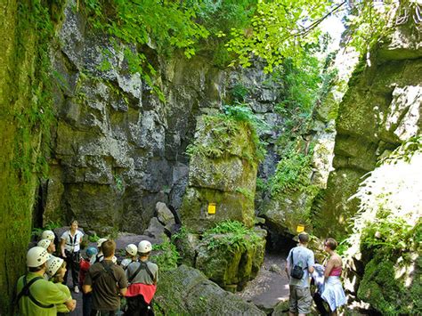 Scenic Caves Nature Adventures (Blue Mountains) - 2021 Qué saber antes ...