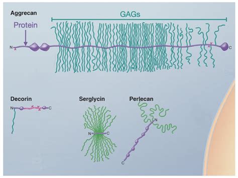 Scientific Foundations