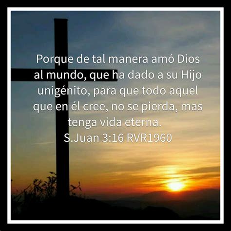 Galeria de Versiculos Biblicos: Juan 3:16