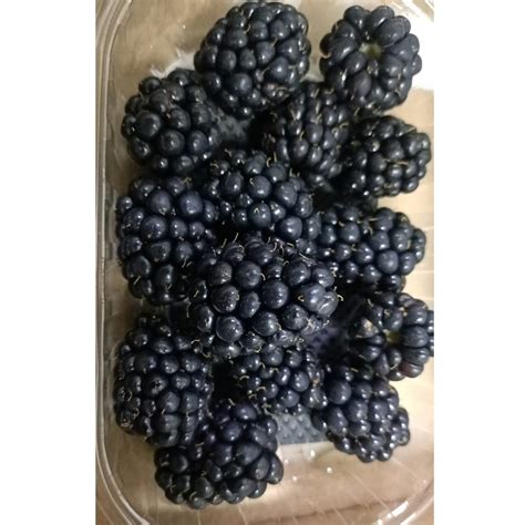 A Grade Fresh Blackberry, Packaging Type: Box, Packaging Size: 125g, Rs ...