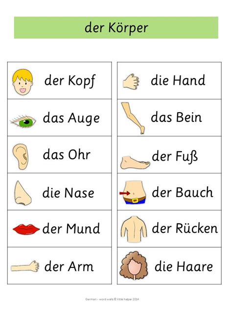 German Word Walls - Basic Vocabulary | Learn german, German language, German language learning