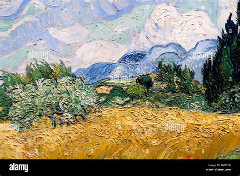 Detail: Wheat Field with Cypresses, 1889, by Vincent van Gogh Stock ...