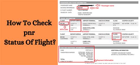 How to Check the Status of a Flight PNR Online?