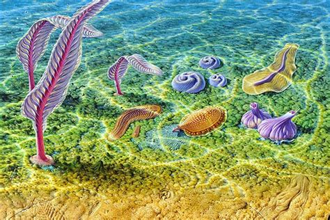 You Daily Byte: 560 Million Years Ago, Animals Flexed Their Muscles