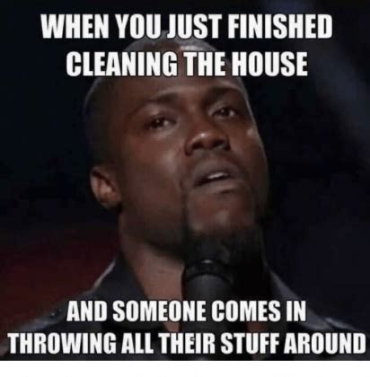 23 Incredibly Funny Cleaning Memes - SayingImages.com